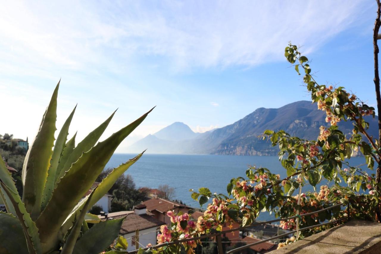 Le Due Terrazze Villa Brenzone sul Garda Ngoại thất bức ảnh